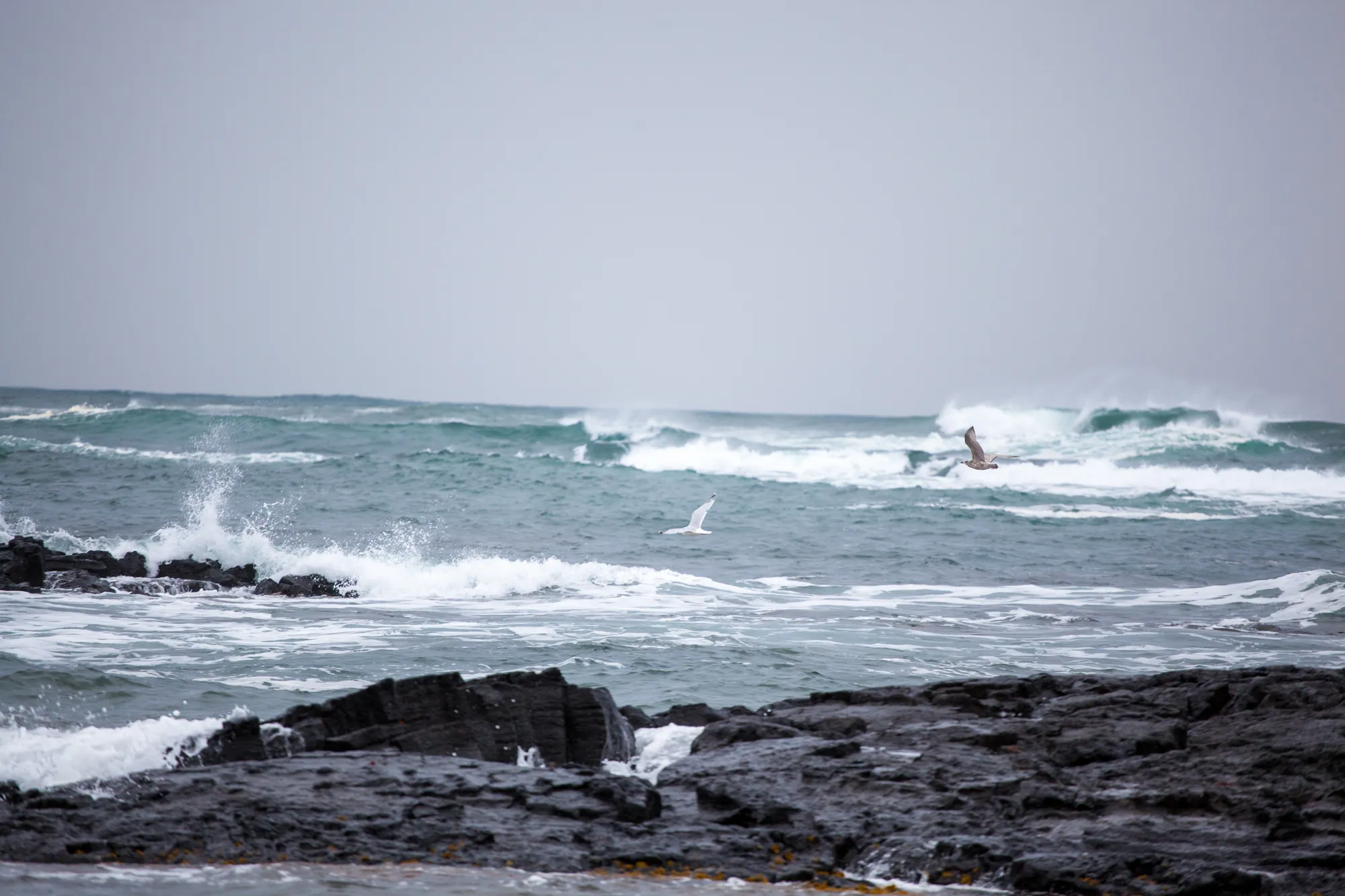 Photograph by Daniel Engdahl