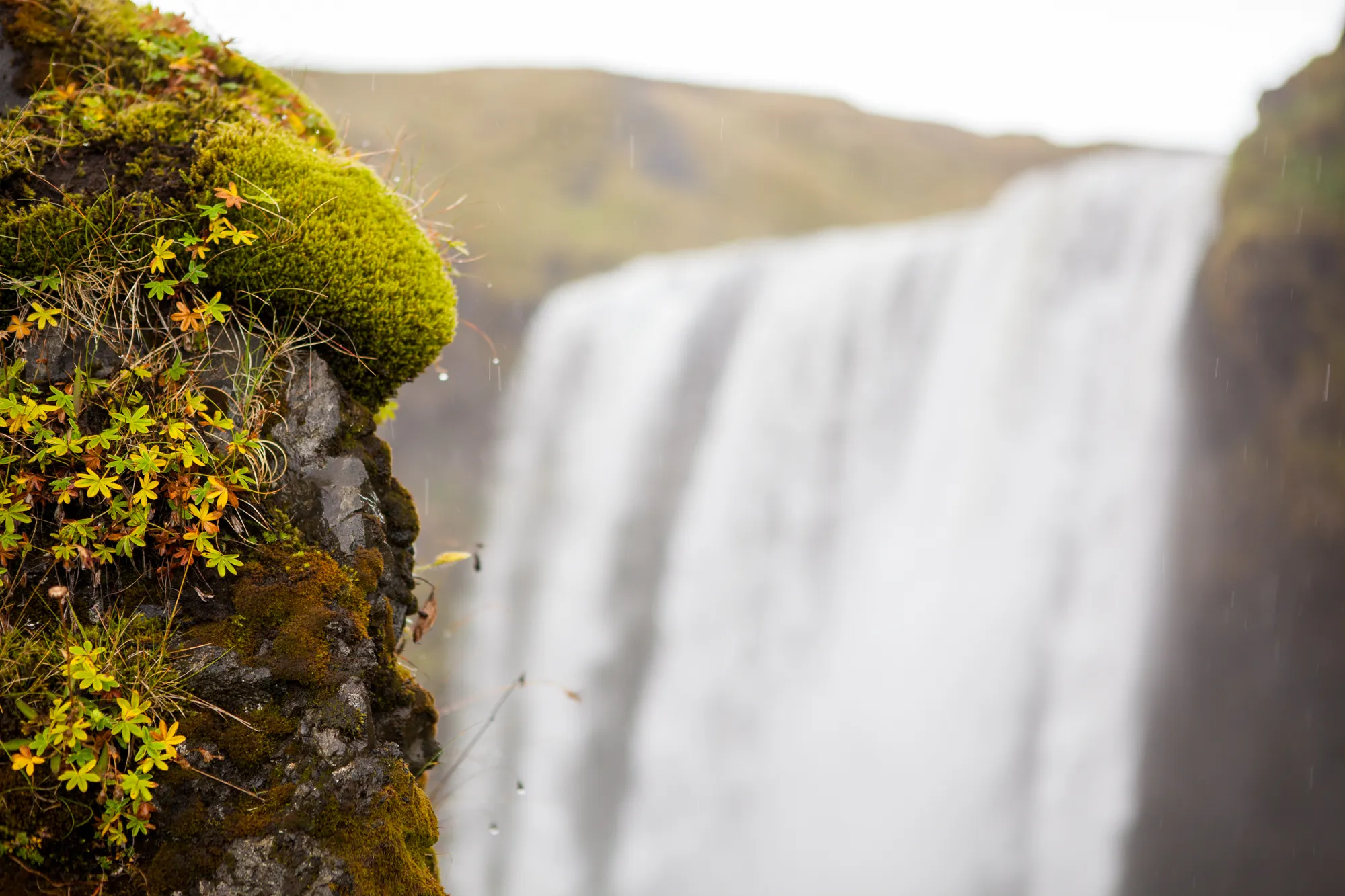 Photograph by Daniel Engdahl